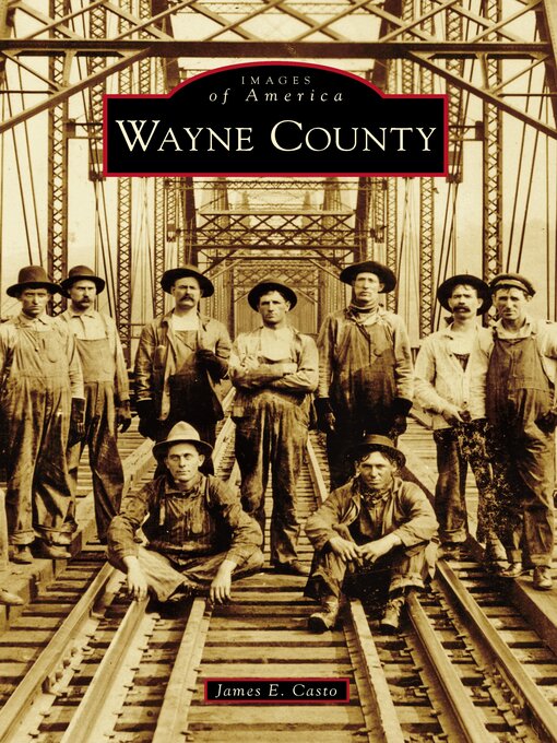 Cover image for Wayne County